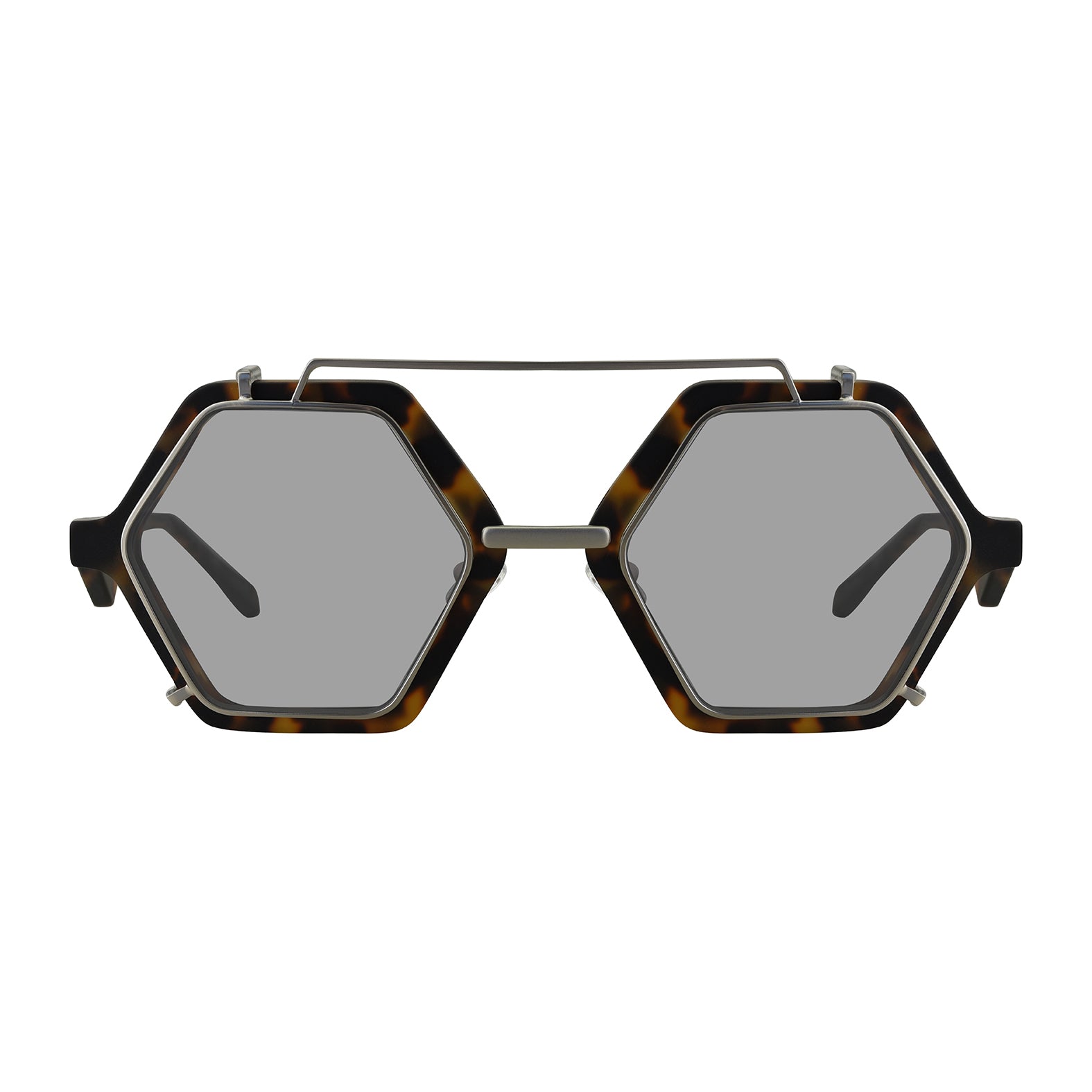 #color_tortoise