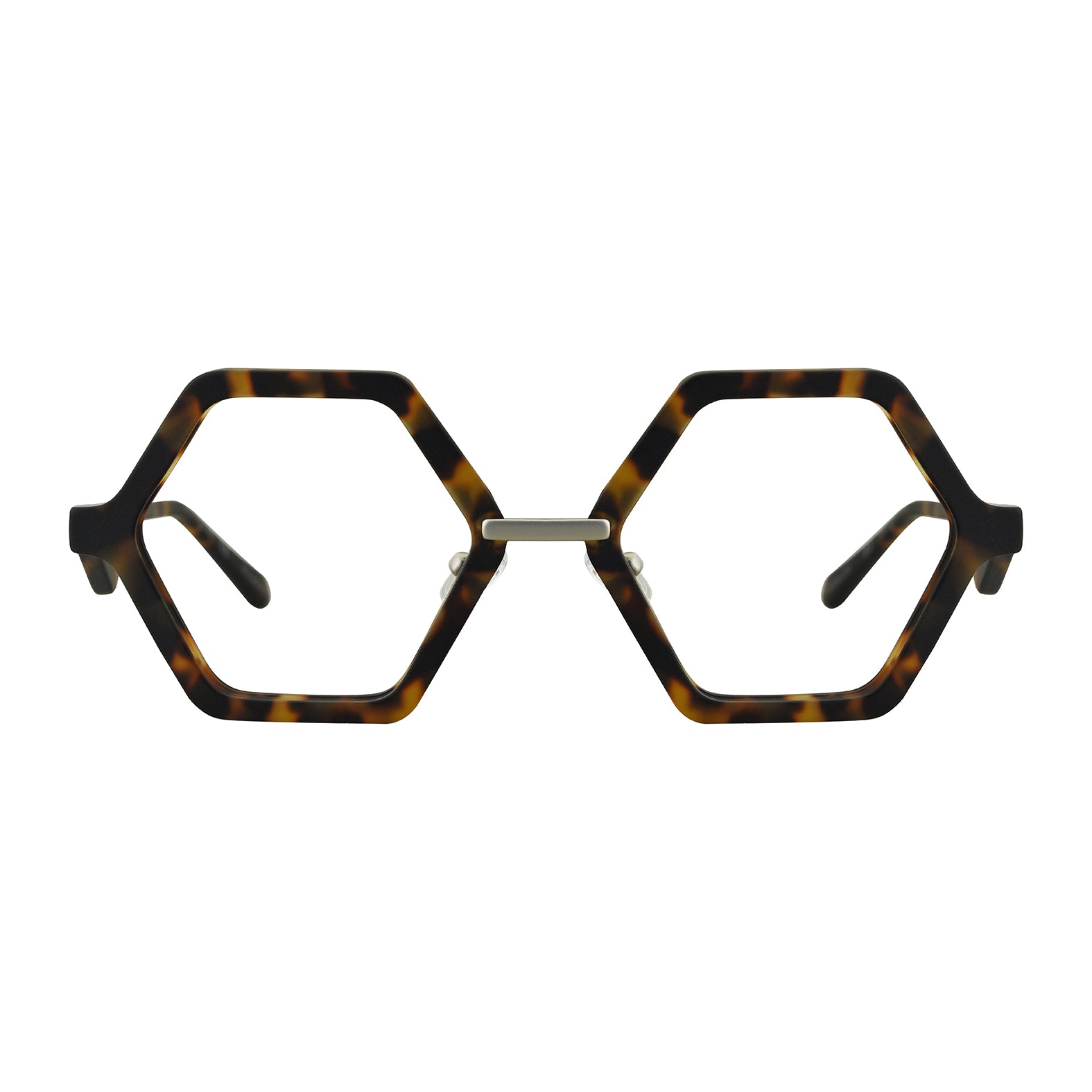 #color_tortoise