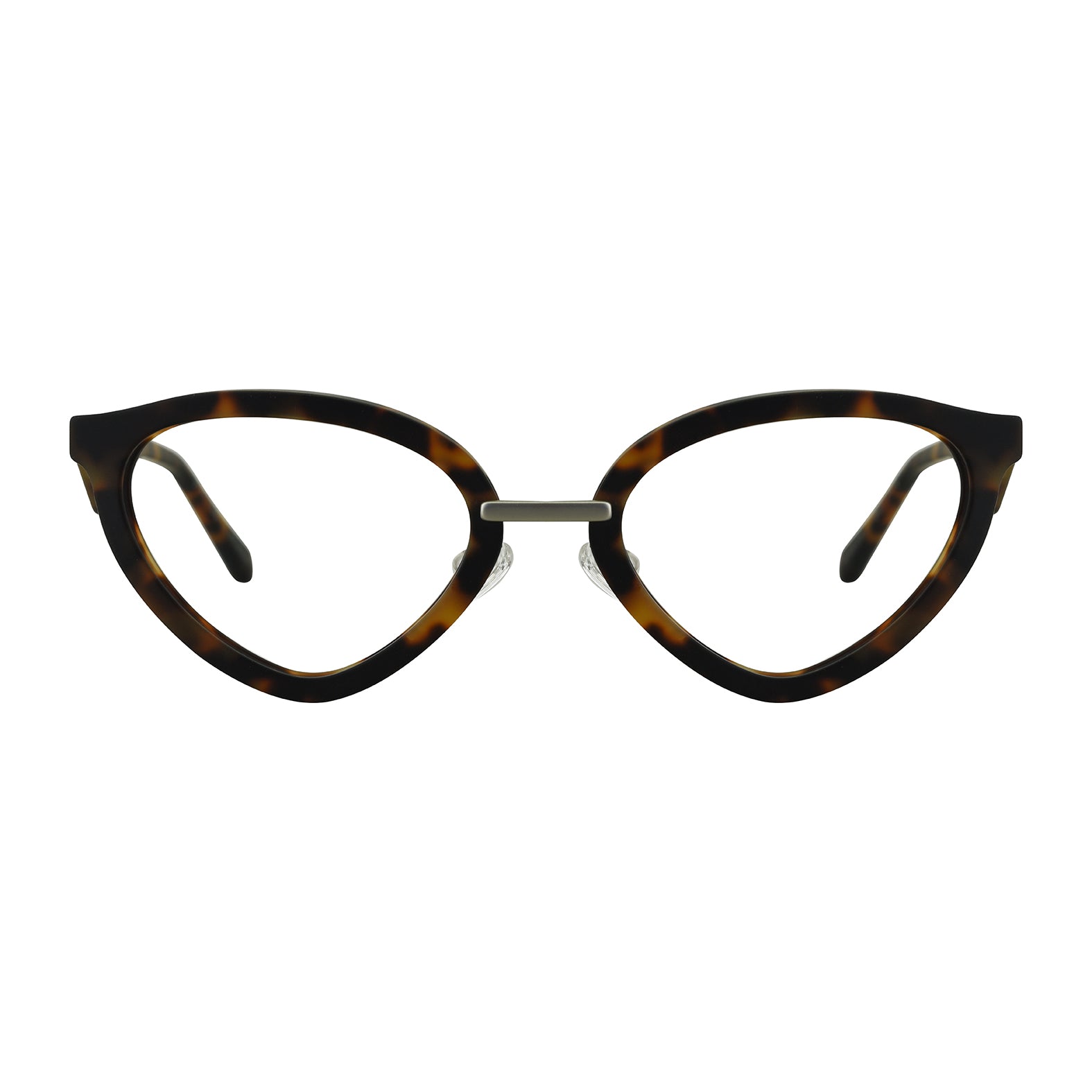 #color_tortoise